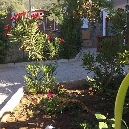 Ateş